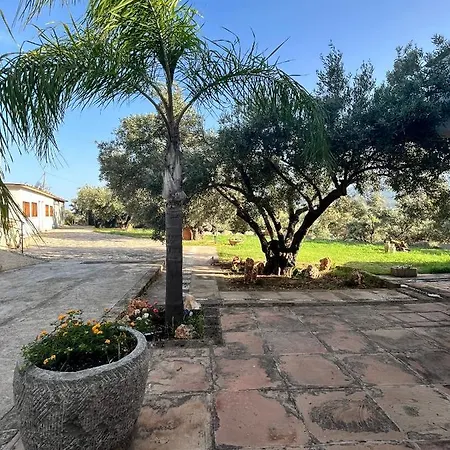 Il Santo Re Bed & Breakfast Petrizzi