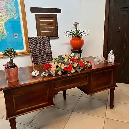 Il Santo Re Petrizzi