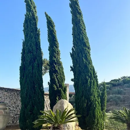 Il Santo Re * Petrizzi