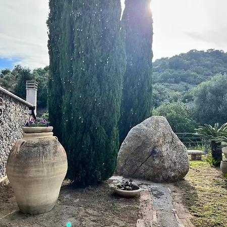 Il Santo Re Bed & Breakfast Petrizzi