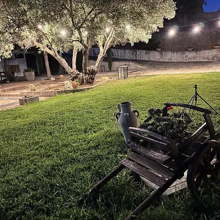 Il Santo Re Petrizzi