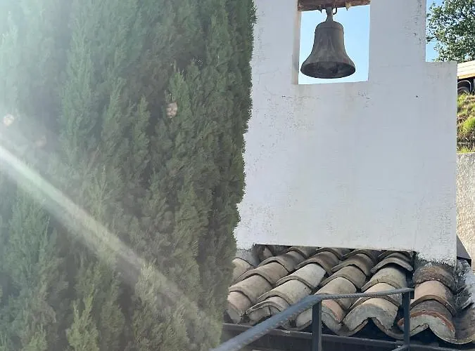 Il Santo Re Petrizzi