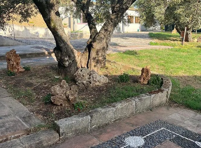 Alojamento de Acomodação e Pequeno-almoço Il Santo Re Petrizzi