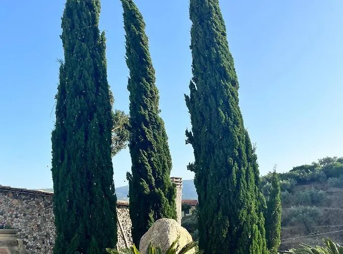 Il Santo Re * Petrizzi